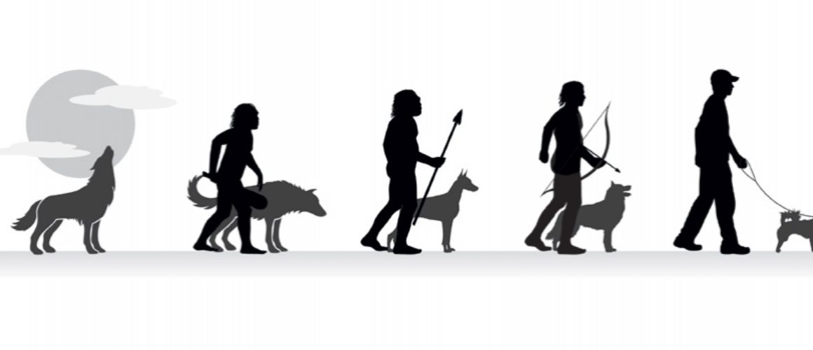 Phylogenèse du chien- Le chien est-il un loup ? Avis du Dr Coppinger